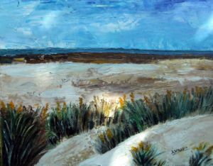 La Baie de Somme dans tous ses états La Baie de Somme dans tous ses états